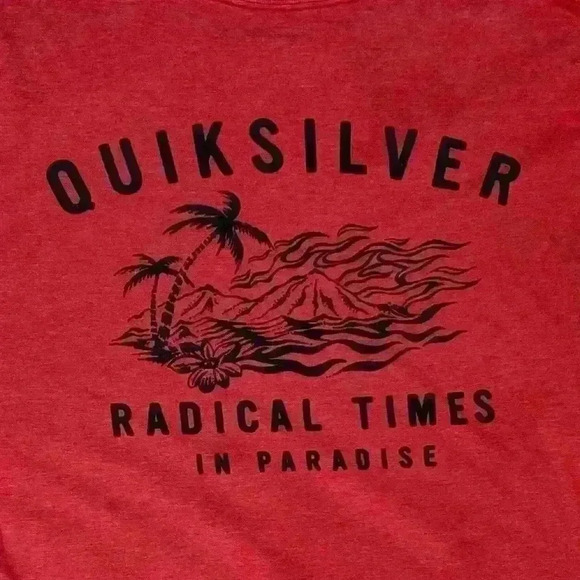 Quicksilver T Shirt Size M - Picture 3 of 5